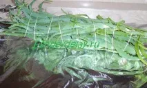 Лікувальна настойка з алое, меду та кагору. лікувальна