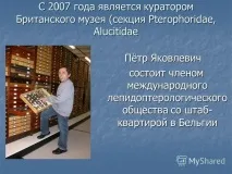 Ловець метеликів – Олег Купчинський – Medium метеликів