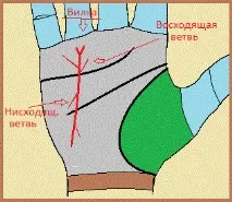 таланту