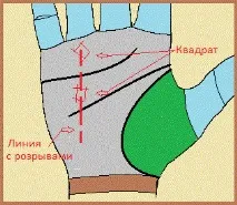 лінія
