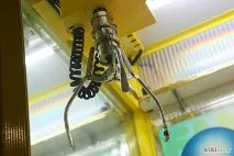 Кошеня, що впало на карниз 12-го поверху, врятували в Сінгапурі. кошеня