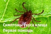 ухапване