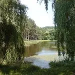 Найкращі місця для пікніків у Києві - Статьи - Афіша bigmir)net афіша