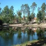 Найкращі місця для пікніків у Києві - Статьи - Афіша bigmir)net києві