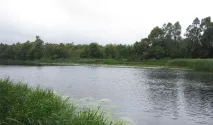 Найкраща погода для риболовлі - Енциклопедія рибалки Риби