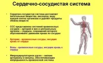 Лозап (інструкція, опис та відгуки) інструкція