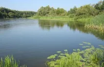 Найкраща погода для риболовлі - Енциклопедія рибалки Риби