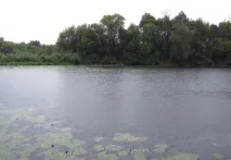 Найкраща погода для риболовлі - Енциклопедія рибалки енциклопедія