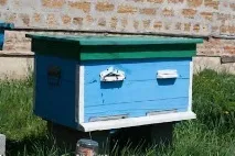 Методи бджоловодіння вулика, система, досвід вулика