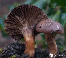 склад