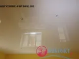 НАТЯЖНІ СТЕЛИ З ФОТОДРУКОМ - Природа (квіти рослини), Фото-каталог - Природа (квіти рослини) натяжні