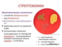 Нефрит нирок – види, симптоми, причини розвитку, лікування нирок