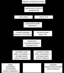 Нормальні параметри клінічного аналізу крові - Студопедія аналізу