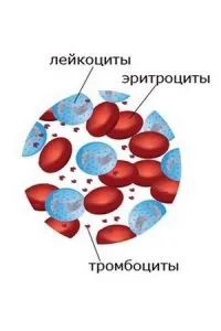 крові