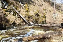 Ольгин водоспад та Зотинська печера водоспад