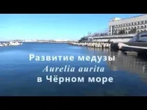 Відділ аквакультури та морської фармакології аквакультури