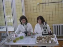 Відділ аквакультури та морської фармакології аквакультури