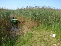 Озеро Воже та дельта річки Вожеги, Лісова комора річки