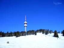 Пампорове, Болгарія багато