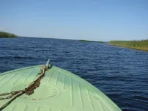 Озеро Воже та дельта річки Вожеги, Лісова комора дельта