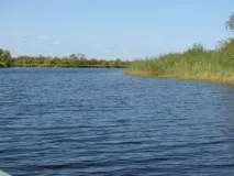 Озеро Воже та дельта річки Вожеги, Лісова комора дельта