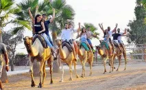 Парк верблюдів - Camel Park - Ларнака, Кіпр - Огляд, опис парку ларнака
