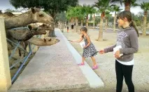 Парк верблюдів - Camel Park - Ларнака, Кіпр - Огляд, опис парку кіпр