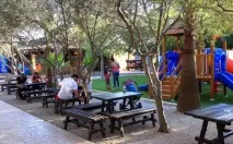 Парк верблюдів - Camel Park - Ларнака, Кіпр - Огляд, опис парку верблюдів