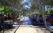 Парк верблюдів - Camel Park - Ларнака, Кіпр - Огляд, опис парку camel