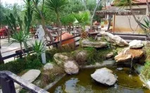 Парк верблюдів - Camel Park - Ларнака, Кіпр - Огляд, опис парку park