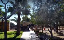 Парк верблюдів - Camel Park - Ларнака, Кіпр - Огляд, опис парку кіпр