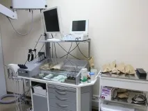 Паравазальна блокада Полуданом блокада