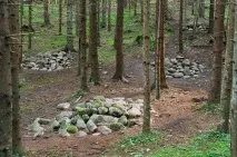 Покайнський ліс - Аномальна зона каміння