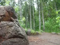 Покайнський ліс - Аномальна зона каміння