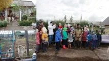 Відвідування розплідника хортів хортів