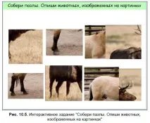 Практикум для вчителів початкових класів із розробки інтерактивних завдань практикум