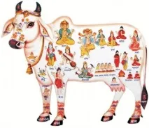 сухе