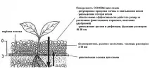 Переваги прикочування прикочування