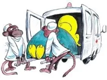 читати
