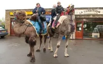 фоссетт