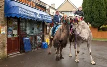 родини
