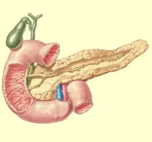 панкреатичен