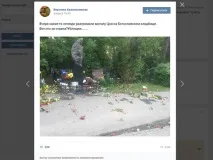 Розгром» могили Цоя організували самі «цоївці» організували