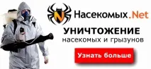Розмноження тарганів - швидкість розмноження тарганів швидкість
