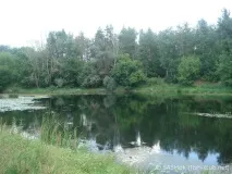 Річка Псел - минуле, сьогодення та майбутнє майбутнє