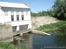 Річка Псел - минуле, сьогодення та майбутнє майбутнє