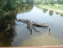 Річка Псел - минуле, сьогодення та майбутнє майбутнє