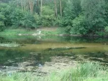 Річка Псел - минуле, сьогодення та майбутнє майбутнє