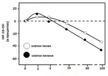 издръжливост