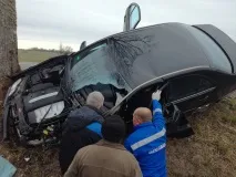 Результати пошуку результати